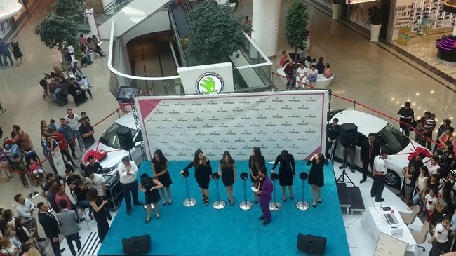 ahl park otomobil çorum (2)