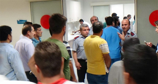 domuz avı (1)