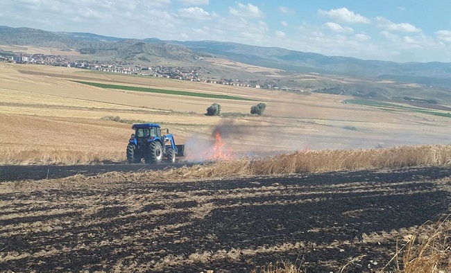 KÖYLÜNÜN BUĞDAYI TARLADA YANDI
