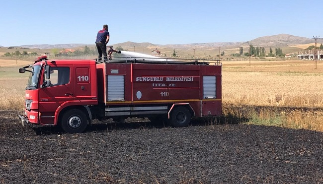 BUĞDAY EKİLİ TARLADA YANGIN ÇIKTI