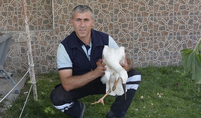 YAVRU LEYLEĞE İTFAİYE SAHİP ÇIKTI