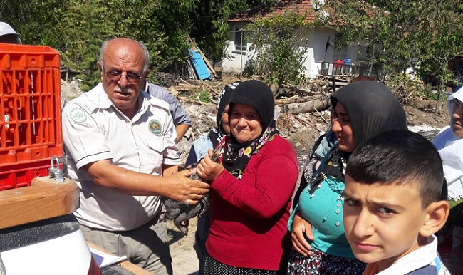 KÖYLÜLERE BEÇ TAVUĞU DAĞITILDI