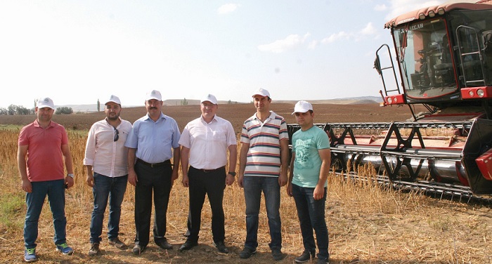 ÇORUM'DA, ABD ULUSAL HAVACILIK VE UZAY DAİRESİ (NASA) TARAFINDAN ASTRONOTLARIN, ÇÖLYAK HASTALARIN BESLENMELERİNDE KULLANILAN KİNOA BİTKİSİNİN HASADI YAPILDI. (SERKAN ŞANSEVER/ÇORUM-İHA)