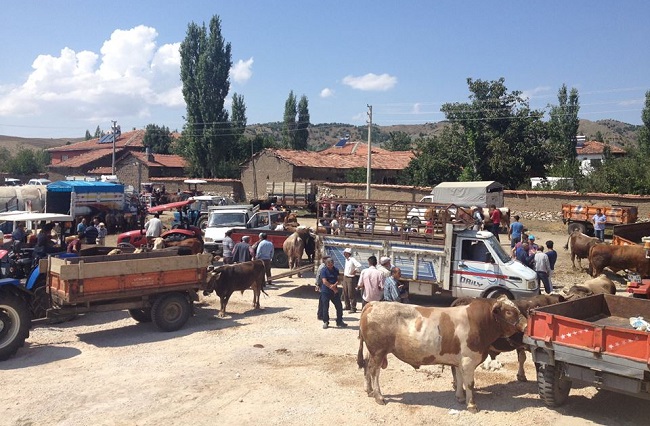 arifegazili köyü hayvan pazarı çorum sungurlu (3)
