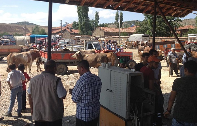 arifegazili köyü hayvan pazarı çorum sungurlu (5)