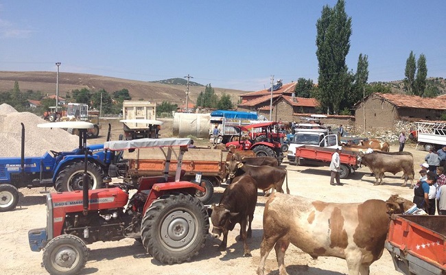 arifegazili köyü hayvan pazarı çorum sungurlu (6)