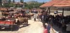 ARİFEGAZİLİ’YE HAYVAN PAZARI KURULDU