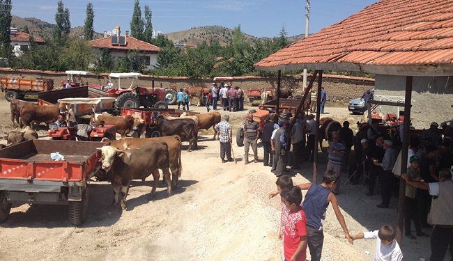 ARİFEGAZİLİ’YE HAYVAN PAZARI KURULDU