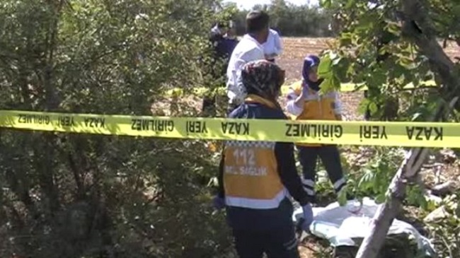 CEVİZ AĞACINDAN DÜŞEREK ÖLDÜ