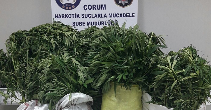ÇORUM HALK SAĞLIĞI MÜDÜRÜ DR. AHMET BARIŞ, UYUŞTURUCU İLE MÜCADELE ÇALIŞMALARI KAPSAMINDA NARKOTİMLERİN SOKAK BAZLI OPERASYONLARINI ARTIRILMASIYLA BİRLİKTE UYUŞTURUCUYA ULAŞILABİLİRLİĞİN ZORLAŞTIRILDIĞINI AÇIKLADI. (MUHAMMED MUTTALİP YALÇIN/ÇORUM-İHA)