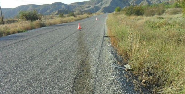 ÇORUM’UN DODURGA İLÇESİNDE ANİDEN YOLA ÇIKAN GEYİĞE MİNİBÜS ÇARPTI. KAZADA İKİ AYAĞI KIRILAN SÜRÜCÜ ÖLÜMDEN DÖNERKEN, YABAN GEYİĞİ TELEFE OLDU. (İSMAİL KABAKDERE/ÇORUM-İHA)