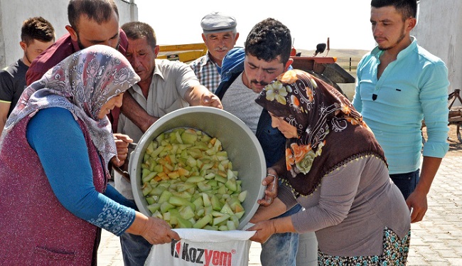 ÇORUM'UN SUNGURLU İLÇESİNDE KAVUN ÜRETİCİSİ HAYDAR UZUNKAŞ, SATAMADIĞI KAVUNLARDAN PEKMEZ YAPTI. (SERKAN ŞANSEVER/ÇORUM-İHA)