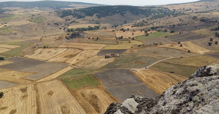 ADNAN MENDERES ÜNİVERSİTESİ (ADÜ) SANAT TARİHİ UYGULAMA VE ARAŞTIRMA MERKEZİ MÜDÜRÜ YRD. DOÇ. DR. MUSTAFA KEMAL ŞAHİN, ANADOLU SELÇUKLU DÖNEMİ ESERLERİNİN İZİNİ ORTA KARADENİZ BÖLÜMÜNDE ARADI (MEHMET BARLAS/AYDIN-İHA)