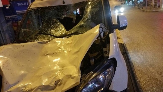 İNEK KAZAYA SEBEP OLDU