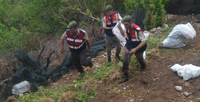 JANDARMADAN ŞAFAK OPERASYONU