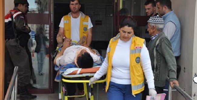 CEVİZ AĞACINDAN DÜŞEREK YARALANDI