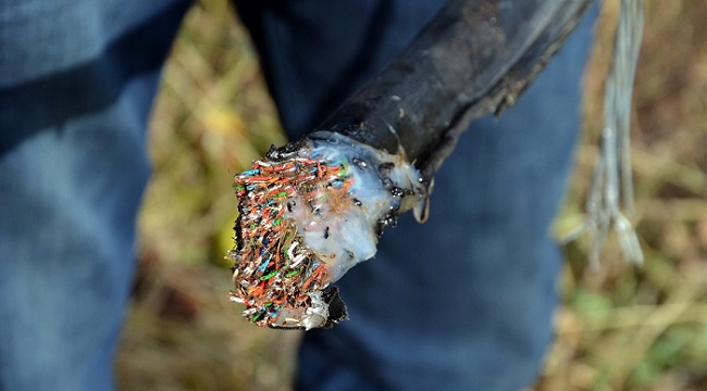 ÇORUM’UN OSMANCIK İLÇESİNE BAĞLI KARGI KÖYÜNÜN İLETİŞİMİNİ SAĞLAYAN TELEFON KABLOSU KİMLİĞİ BELİRSİZ KİŞİ VEYA KİŞİLERCE ÇALINDI (İSMAİL KABAKDERE/ÇORUM-İHA)