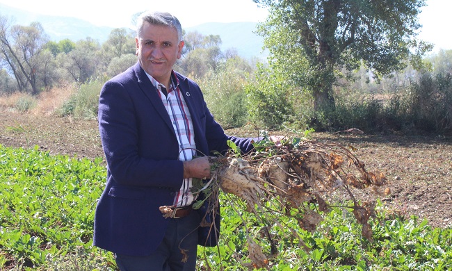 PANCARIN TARLADAN ŞEKERE UZANAN YOLCULUĞU HAKKINDA BİLGİ VEREN ŞEKER-İŞ SENDİKASI BAŞKANI SEFER KAHRAMAN, PANCARIN MÜNAVEBELİ EKİLEN BİR ÜRÜN OLDUĞUNU SÖYLEDİ. (MUHAMMED MUTTALİP YALÇIN/ÇORUM-İHA)