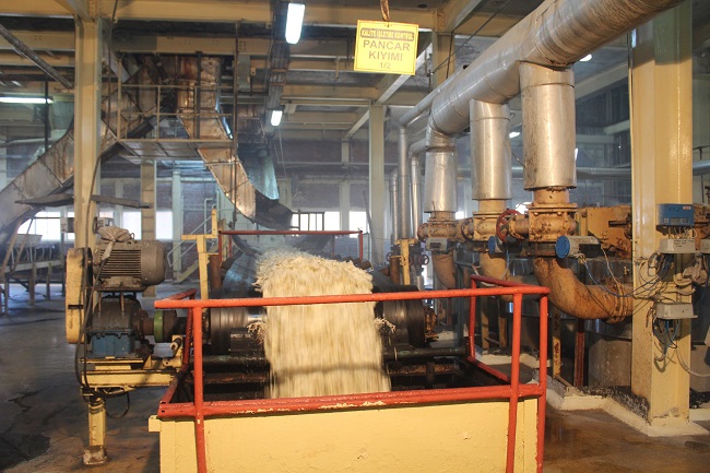 TÜRKİYE’NİN ŞEKER İHTİYACININ ÖNEMLİ BİR BÖLÜMÜNÜN KARŞILANDIĞI ÇORUM’DA PANCARIN TARLADAN SOFRAYA ZAHMETLİ YOLCULUĞU BAŞLADI. TARLADAN FABRİKAYA GETİRİLEN PANCARLAR, ÇEŞİTLİ İŞLEMLERDEN GEÇİRİLİP ŞEKERE DÖNÜŞTÜRÜLÜYOR. (MUHAMMED MUTTALİP YALÇIN/ÇORUM-İHA)