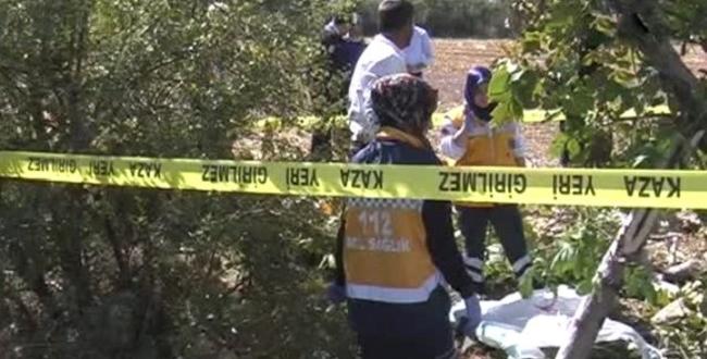 CEVİZ AĞACINDAN DÜŞEREK ÖLDÜ