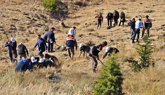 SUNGURLU ADLİYESİ DENETİMLİ SERBESTLİK MÜDÜRLÜĞÜ TARAFINDAN "15 TEMMUZ ŞEHİTLERİ HATIRA ORMANI" FİDAN DİKİMİ ETKİNLİĞİ DÜZENLENDİ (SERKAN ŞANSEVER/ÇORUM-İHA)