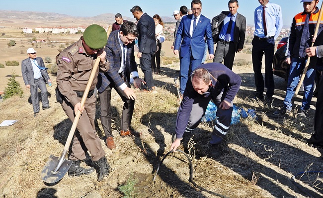 SUNGURLU ADLİYESİ DENETİMLİ SERBESTLİK MÜDÜRLÜĞÜ TARAFINDAN "15 TEMMUZ ŞEHİTLERİ HATIRA ORMANI" FİDAN DİKİMİ ETKİNLİĞİ DÜZENLENDİ (SERKAN ŞANSEVER/ÇORUM-İHA)