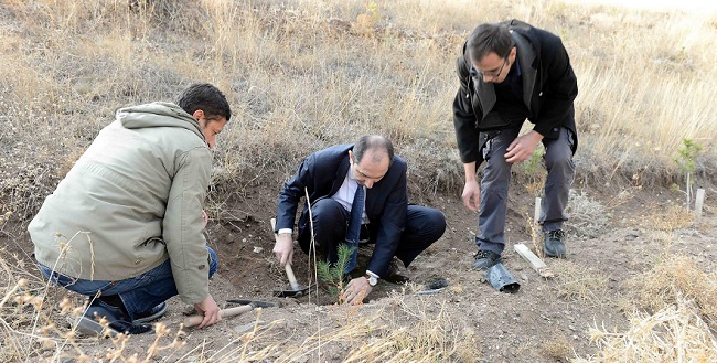 HİTİT ÜNİVERSİTESİ FİDAN DİKTİ