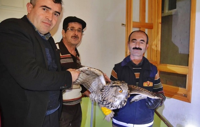 MAHSUR KALAN BAYKUŞ KURTARILDI