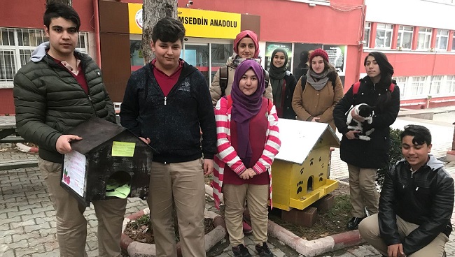 SOKAK KEDİLERİNE SICAK YUVA YAPTILAR