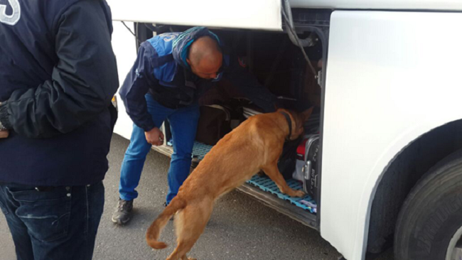 ESRAR VE AFYON SAKIZI YAKALANDI