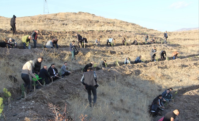 ÇORUM’DA 125 KÖYE 320 BİN FİDAN DİKİLDİ