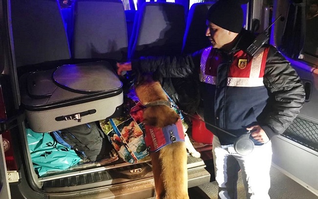 JANDARMA KÖPEKLERİ DİDİK DİDİK ARADI