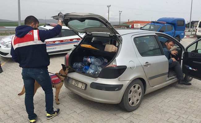 JANDARMADAN ASAYİŞ UYGULAMASI