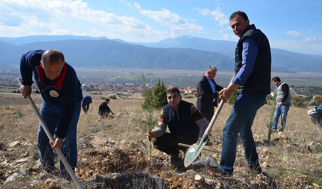 250 FİDAN TOPRAKLA BULUŞTU
