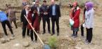 HATIRA ORMANINA FİDAN DİKTİLER