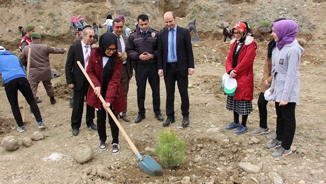 HATIRA ORMANINA FİDAN DİKTİLER