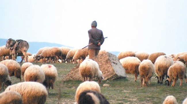 JANDARMA KAYIP ÇOBANI ARIYOR