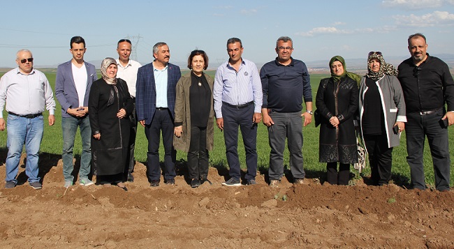 ÇORUM’DA İLK KEZ LAVANTA EKİLDİ