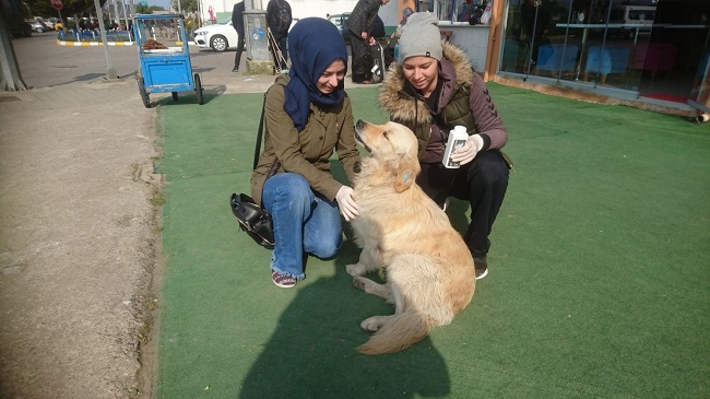 ÇORUMLU İKİZLERDEN ÖRNEK DAVRANIŞ