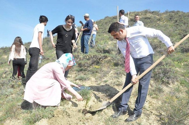 ADLİYE PERSONELİ FİDAN DİKTİ