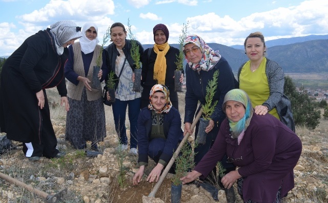 KARGI’DA ŞEHİTLERİMİZ İÇİN FİDAN DİKİLDİ