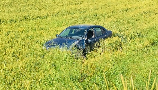 OTOMOBİL TARLAYA BÖYLE UÇTU!