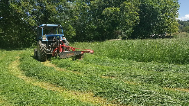 YEM BİTKİSİ TÜRLERİ ÇİFTÇİLERE TANITILDI
