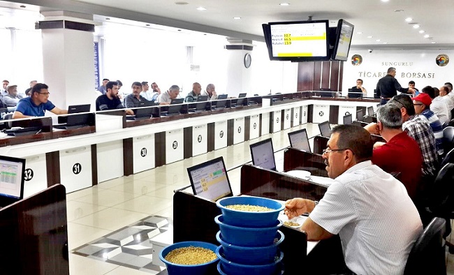 YILIN İLK BUĞDAYI SATIŞA SUNULDU