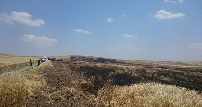 ALACA’DA EKİLİ ARPA TARLASI YANDI