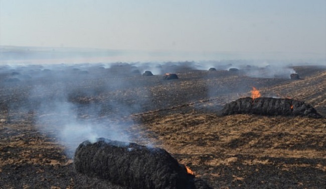 BİNLERCE SAMAN BALYASI KÜL OLDU