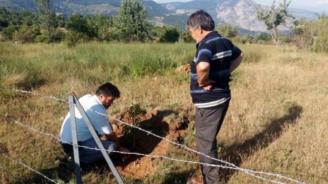 GELİR GETİRİCİ AĞAÇLANDIRMA ÇALIŞMASI