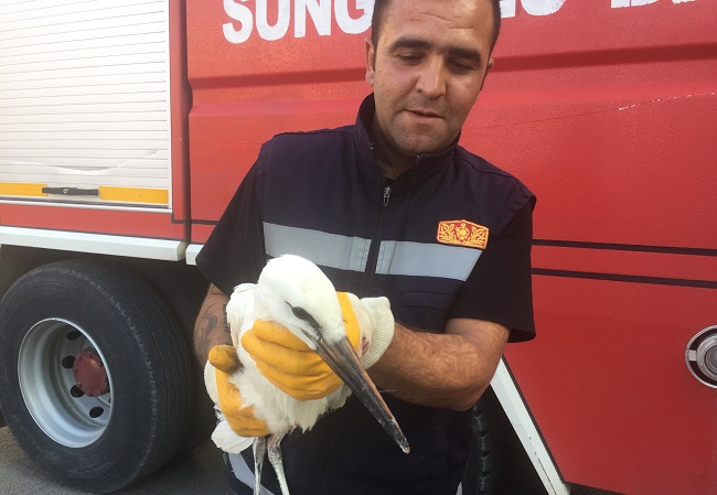 YAVRU LEYLEĞİ İTFAİYE KURTARDI