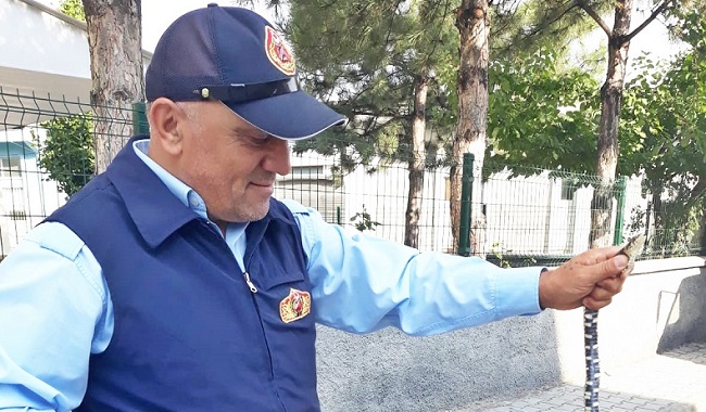 CAMİDE YILAN PANİĞE NEDEN OLDU