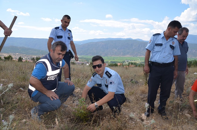 ŞEHİTLER İÇİN FİDAN DİKTİLER